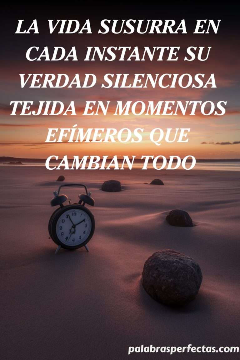 200+ Reflexiones de Vida Diaria Únicas Mensajes Originales para